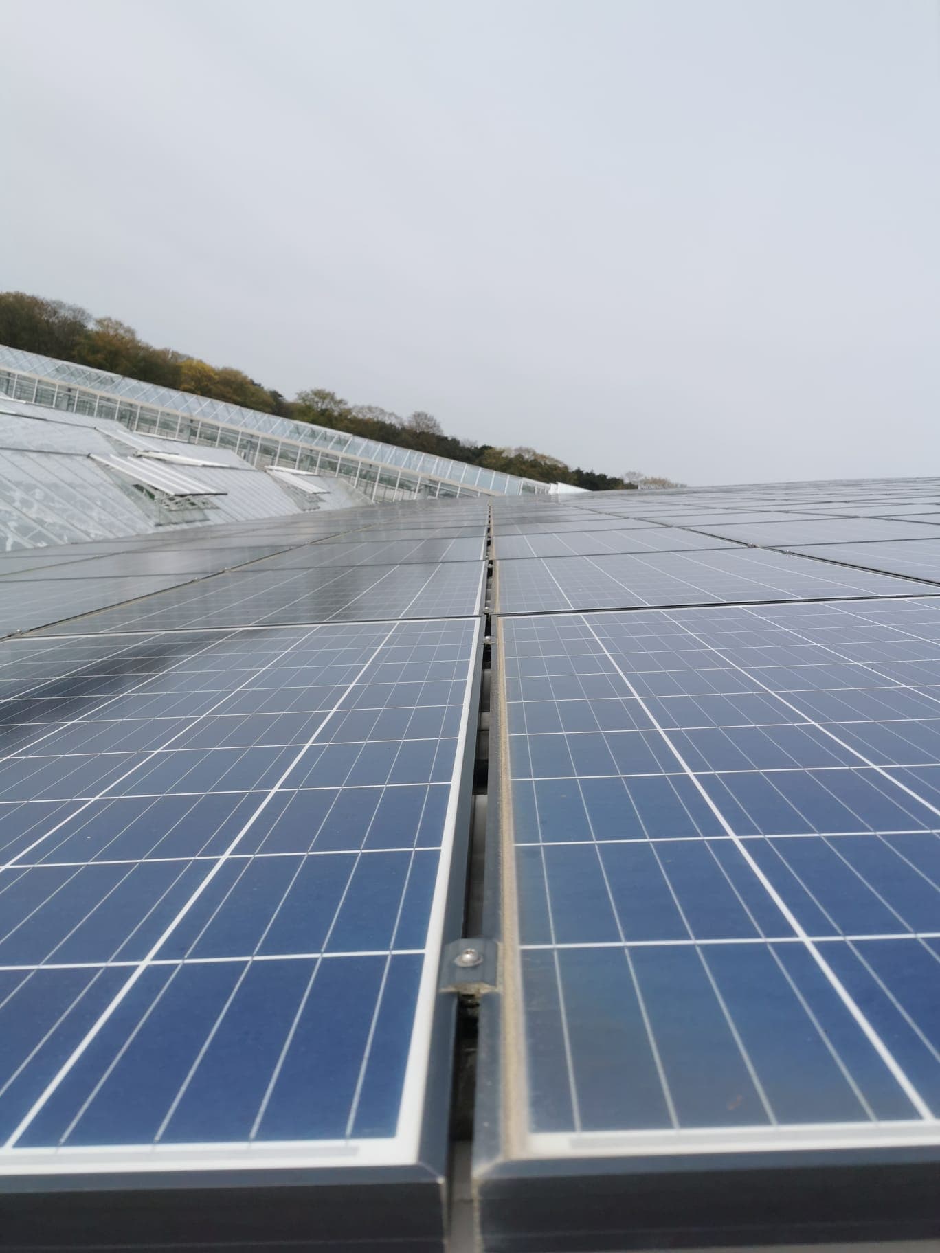 EverKinetiq zonnepanelen installatie - project 27 | EverKinetiq Belgium